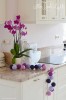 Cotton Balls - VIOLETS 4