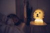 Lampka Lion First Light MrMaria 6