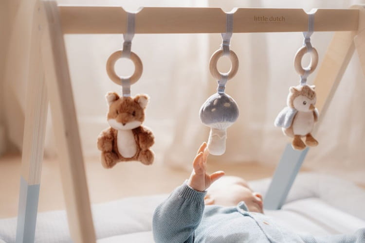 Baby gym stojak pałąk dla chłopca Forest Friends Little Dutch 7