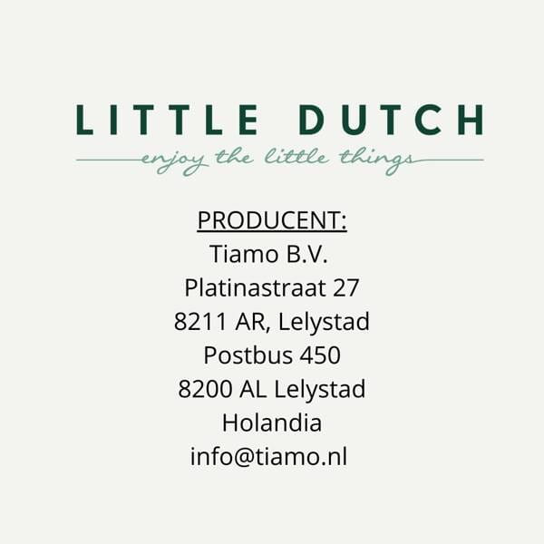 Rowerek trójkołowy biegowy 4w1 z rączką Fairy Floral Little Dutch 18