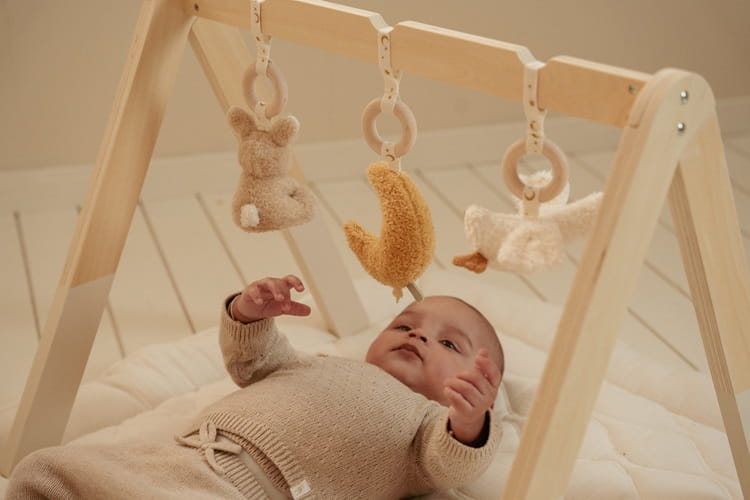 Baby gym stojak pałąk interaktywny Newborn Naturals Little Dutch 5