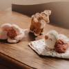 Zestaw prezentowy dla niemowląt Fairy Garden Little Dutch 3