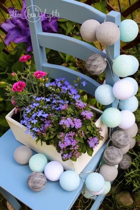 Cotton Balls - HOME ON THE HILL 2