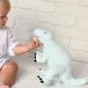 Pluszowy Dinozaur miętowy rozmiar L z imieniem Melootka 1