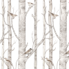 Tapeta dziecięca Birch Forrest Drzewa