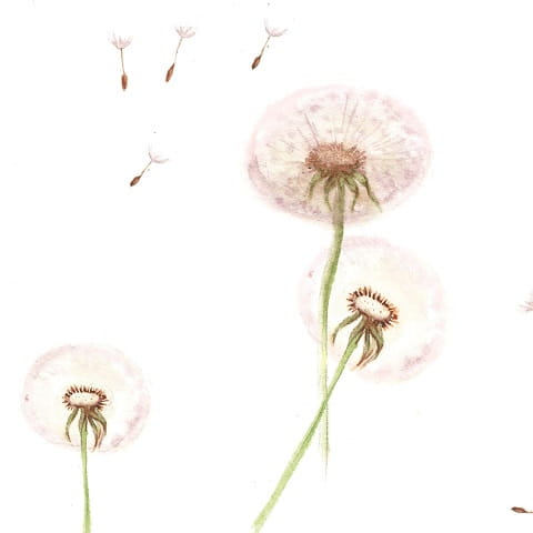 Tapeta dziecięca Dandelions Mlecze 1